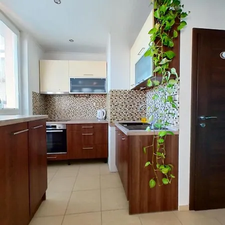 Air Conditioned, 2 Apartment, New City * 布拉迪斯拉发
